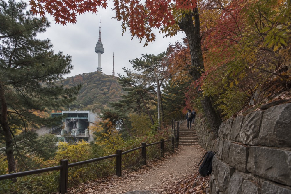 The tower seen from a leafy walking trail on the slopes of Namsan
