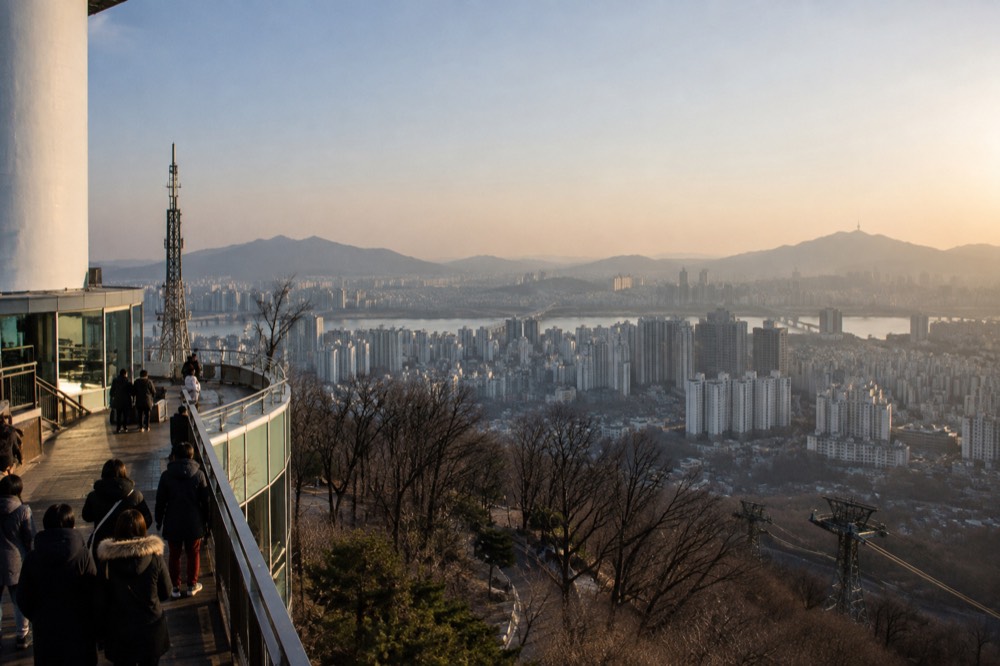 The city skyline spread out below the tower on a clear afternoon
