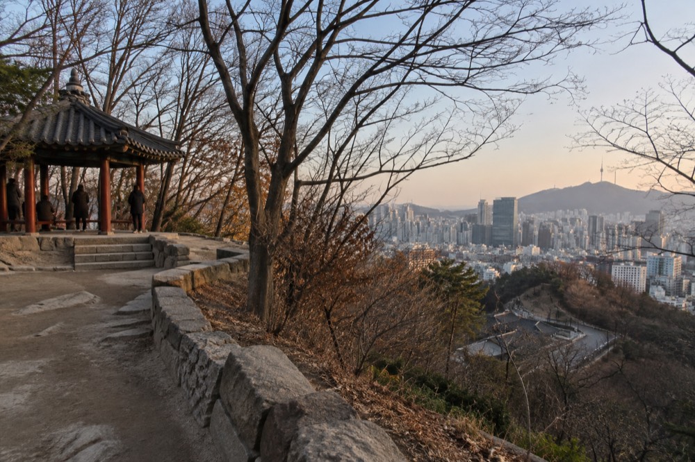Wide view over Seoul rooftops from a forested ridge path near the tower
