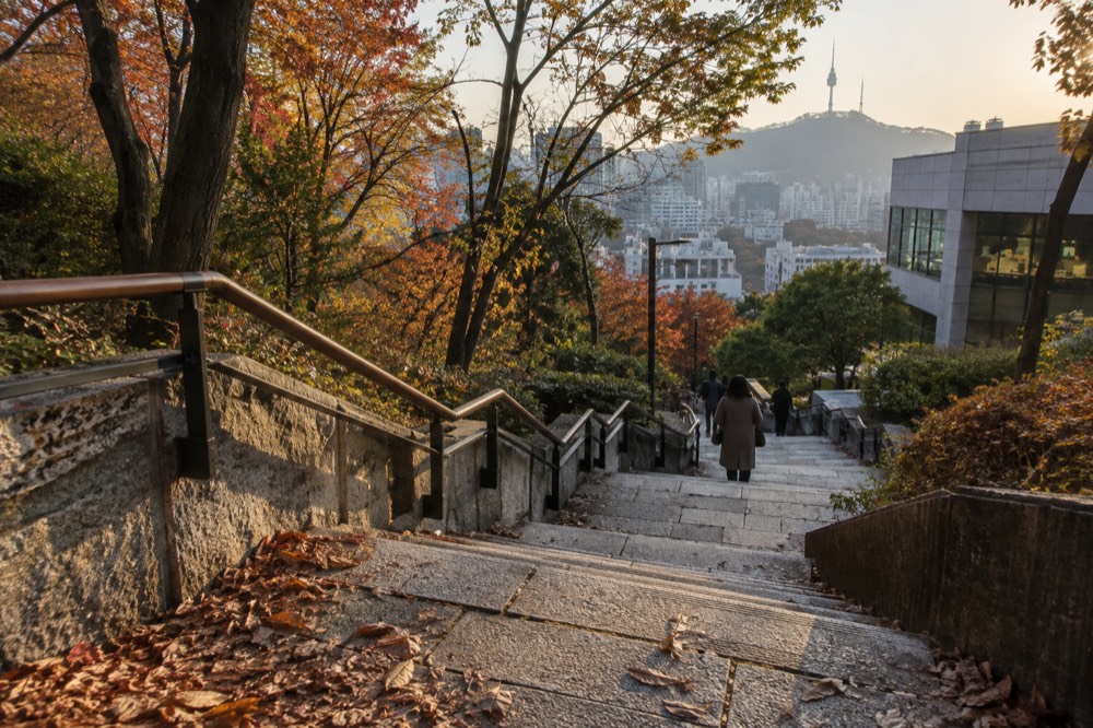 Wide stone steps winding down through trees on the Sam-soon Steps trail with a glimpse of the city below