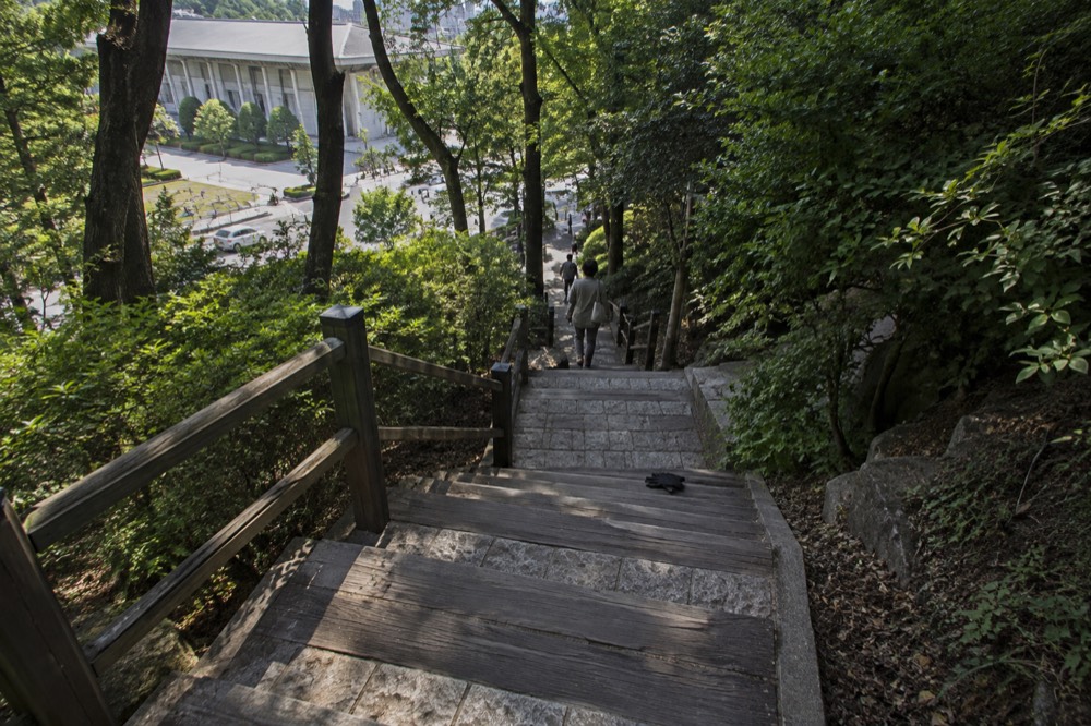 A stone and timber staircase rising through dense green woodland on a hillside in Seoul