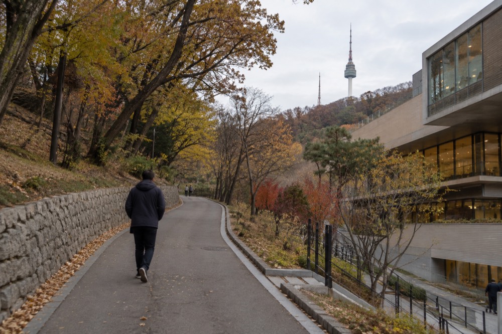 A paved forest path curving uphill through trees with a stone wall on one side