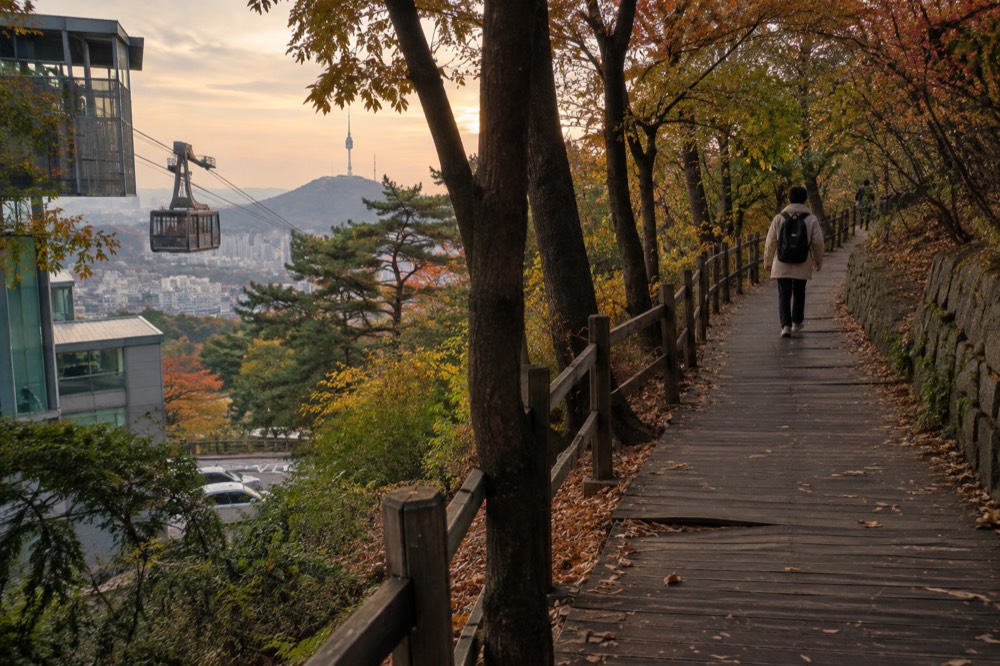 Timber deck trail curving through forest on Namsan with the city visible between trees