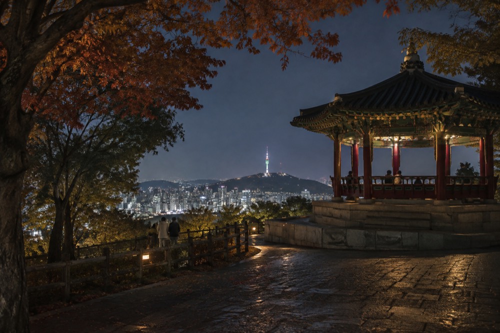The illuminated tower seen from a forested ridge on Namsan with city lights spread below