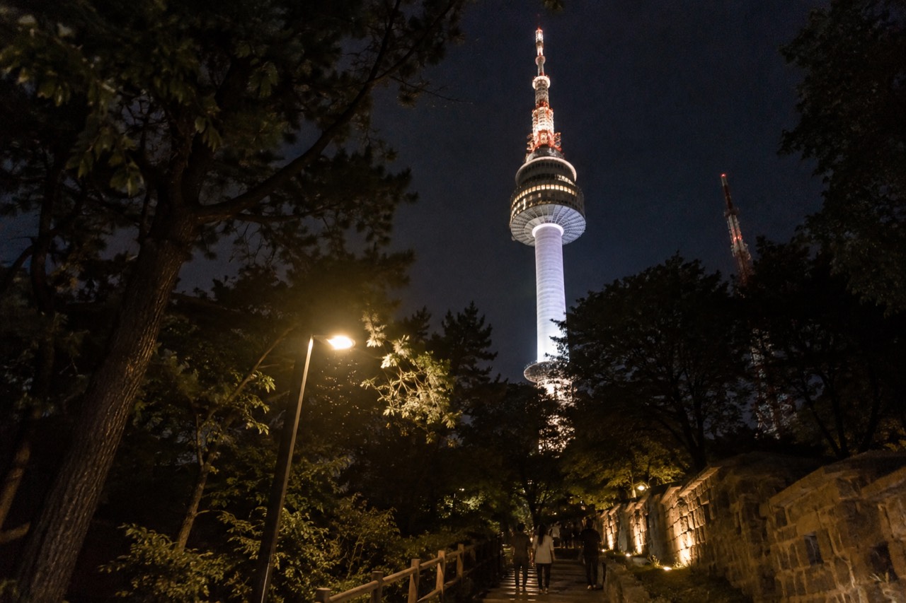 The illuminated N Seoul Tower standing above dark pine forest on Namsan at night