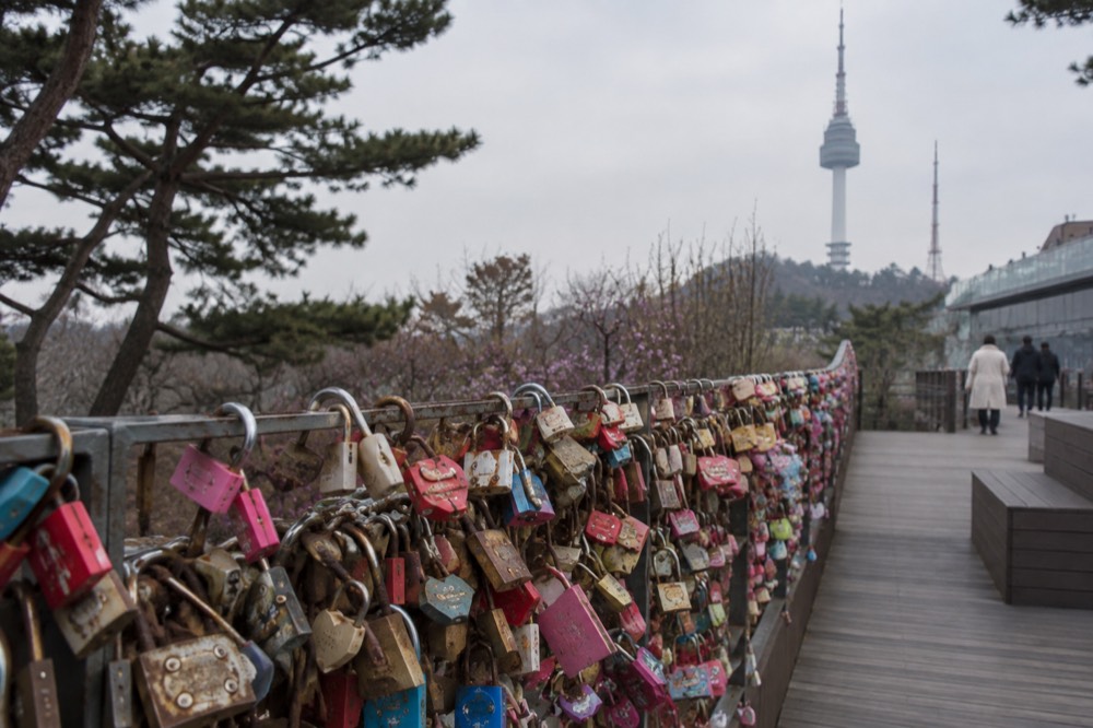 Padlocks of many colours fastened along a wire fence with trees behind