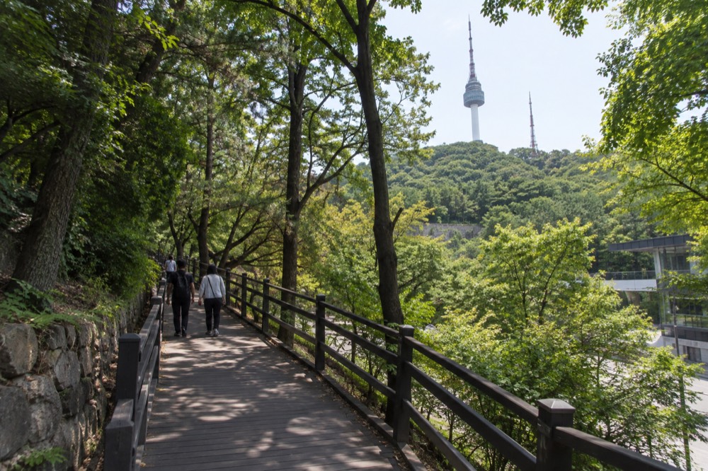 A timber deck path curving through forest toward a hilltop with a communications tower