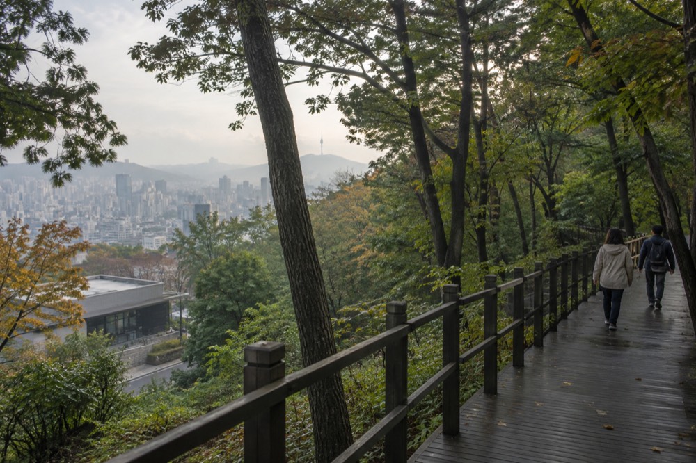 A timber deck path curving through forest on a hillside above a city