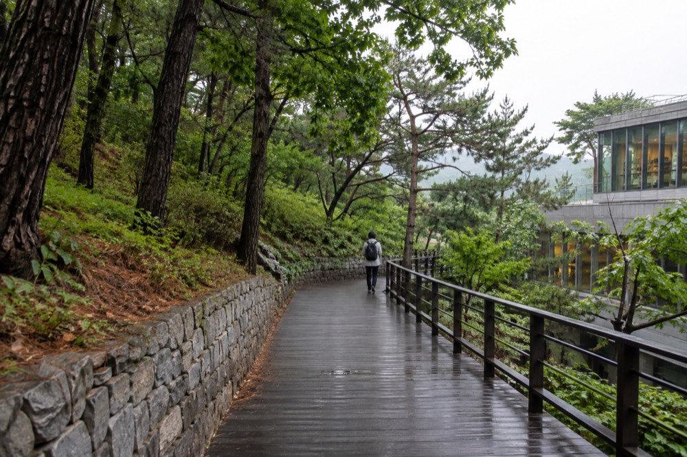 A wide timber deck trail curving through forest on the side of Namsan
