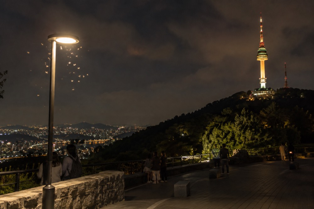 N Seoul Tower lit up at night above the dark tree line of Namsan with city lights beyond