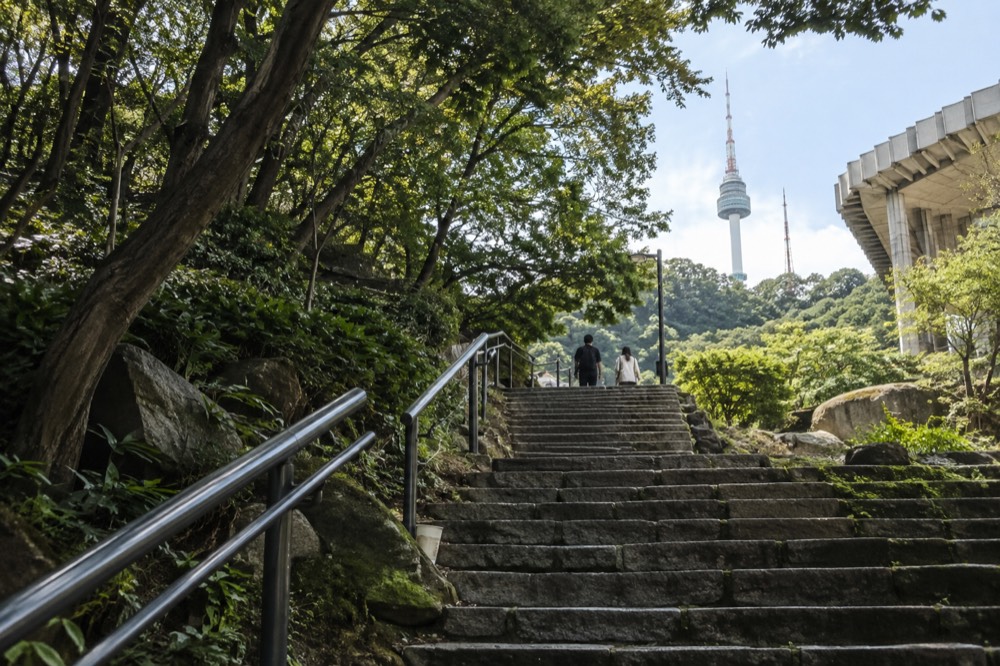 Stone steps climbing through forest toward the summit plaza
