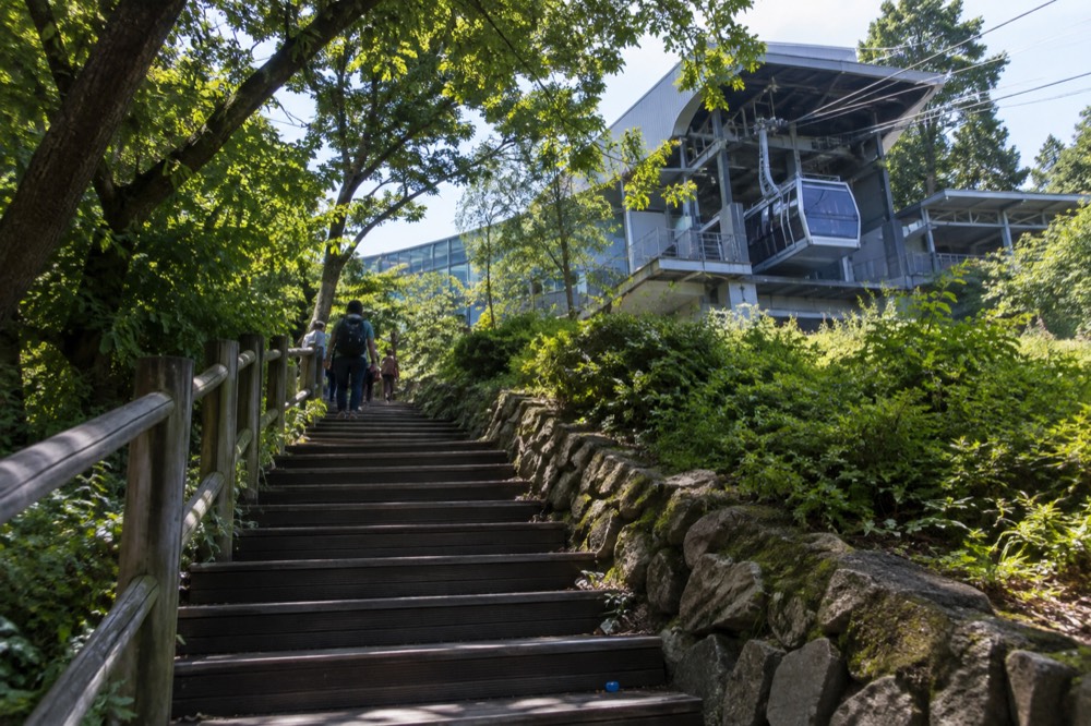 Wooden steps and forest trail winding up Namsan toward the summit