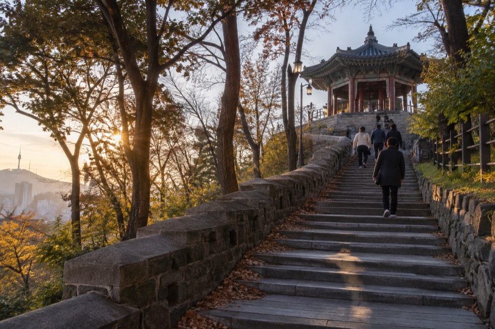 A long outdoor staircase winding uphill through tall trees in a city park