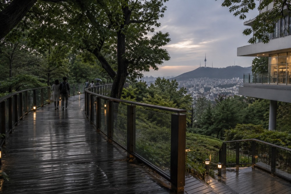 A smooth timber deck path curving through a green forest with a glass viewing fence ahead