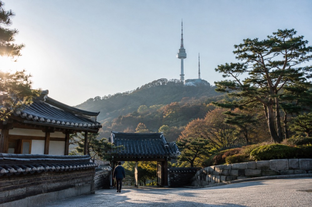 Traditional Korean palace rooftops with wooded hills behind them