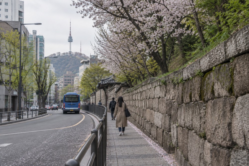 A quiet tree-lined street with a stone city wall running along a wooded slope