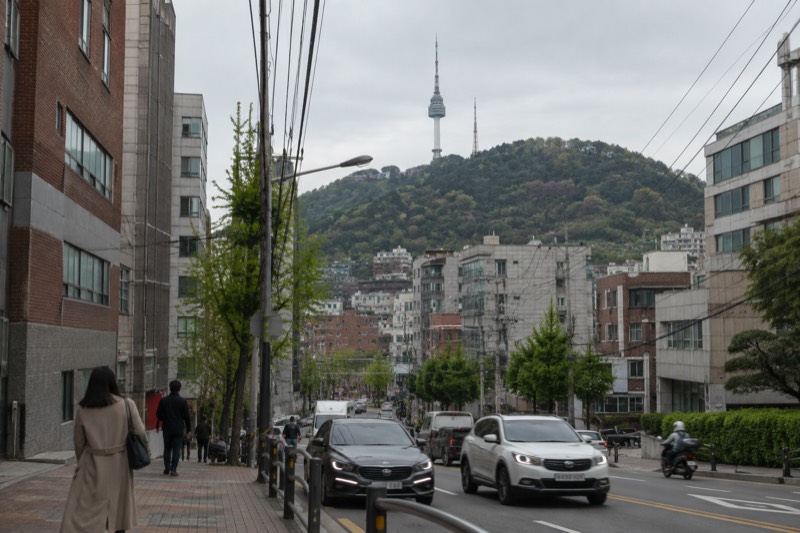 The forested slopes of a city park rising behind rows of urban buildings.